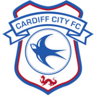 Cardiff City Fussball
